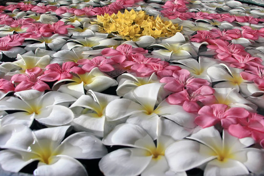 花在水