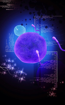 精子