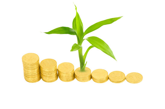 金幣和白色植物