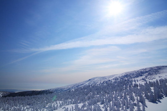 霧淞；山棗在日本