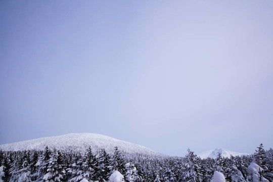 霧淞；山棗在日本