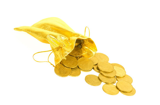 金錢金幣在白色的袋子上孤立