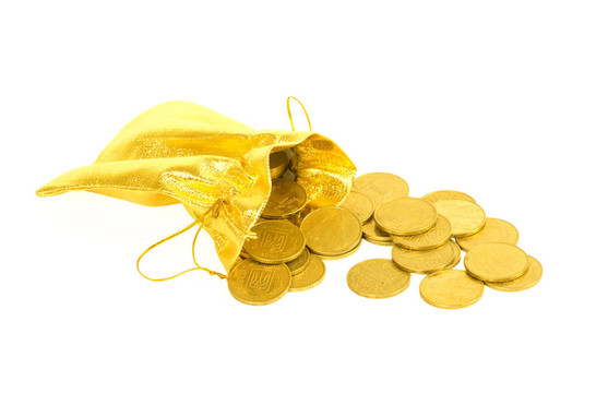 金錢金幣在白色的袋子上孤立