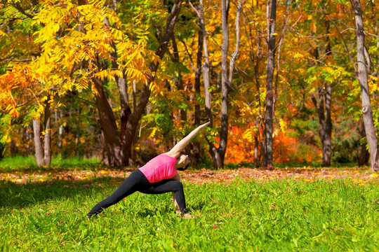 瑜伽姿勢側(cè)parshvakonasana