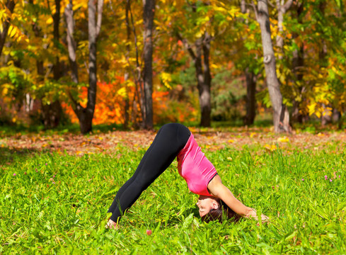 宰牲節(jié)犬shvanasana