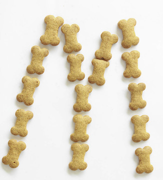 骨頭形狀狗食物字母M