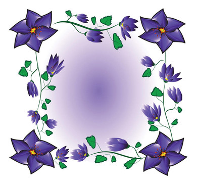 背景的花