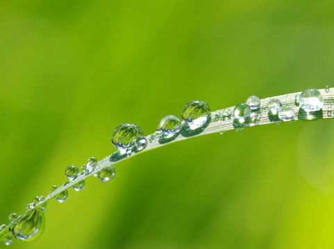 水滴