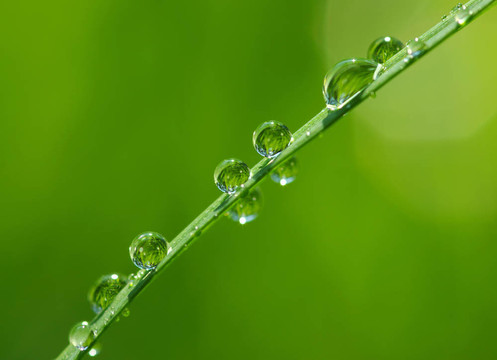 水滴