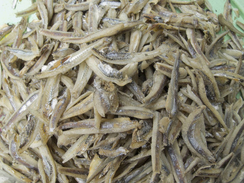 小干魚