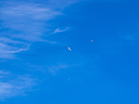 藍色的天空