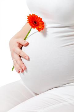 孕婦接觸這里的肚子