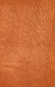 Lacewood（木結構）