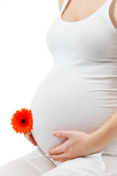孕婦接觸這里的肚子