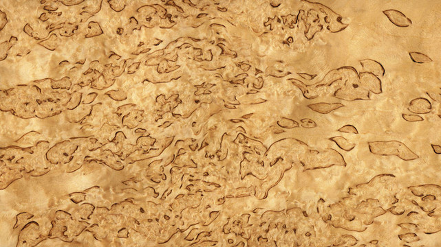 卡累利阿樺木（木結(jié)構(gòu)）