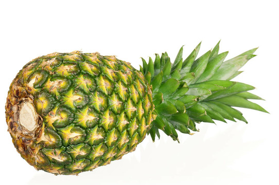 菠蘿