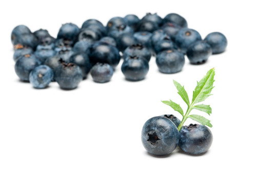 blueberrys