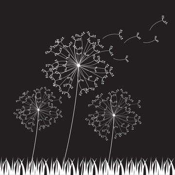 dandelios