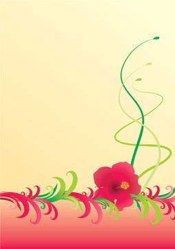 芙蓉黃邊的插圖