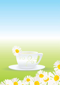 甘菊茶