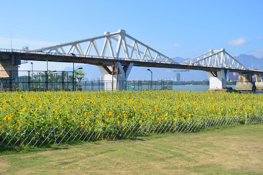 福州沙灘公園