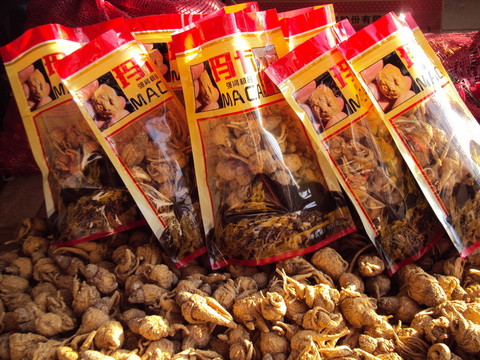 瑪咖種植種植特色農(nóng)作物瑪咔包裝