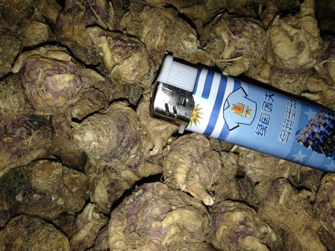 瑪咖瑪卡馬卡瑪咔
