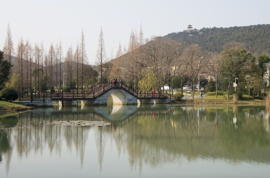 園林景觀 拱橋