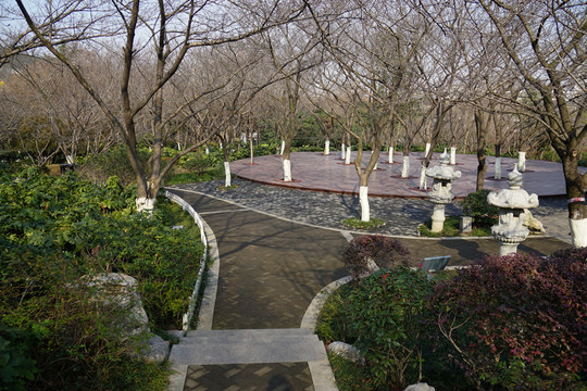 公園一角