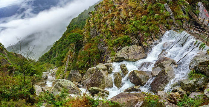 廬山風(fēng)光