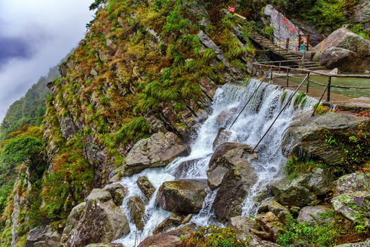 廬山溪流