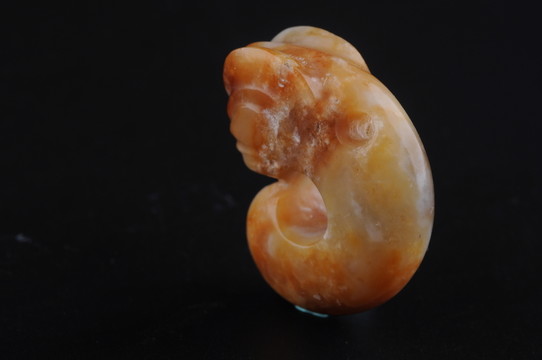 紅山文化 玉豬龍