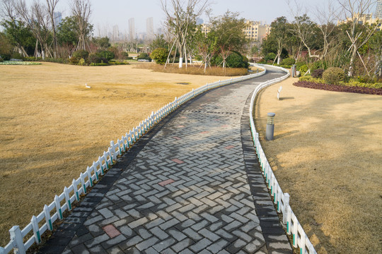 公園小徑