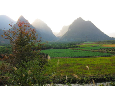 靈川風光