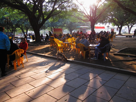 公園陽光