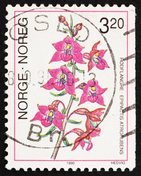 郵票挪威1990暗紅色火燒蘭；Epipactis Atroru