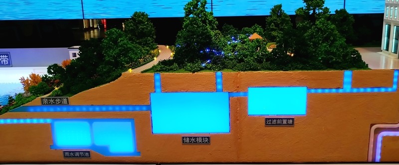 海綿城市