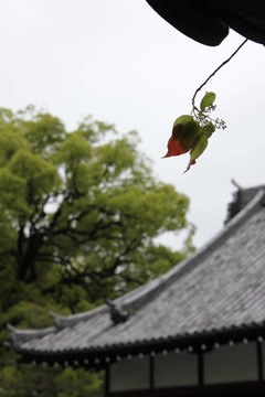 日本式庭園