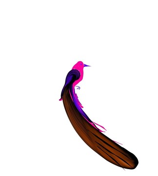 喜鵲的卡通鳥