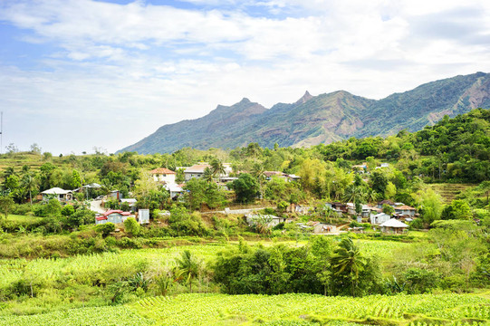 菲律賓農(nóng)業(yè)
