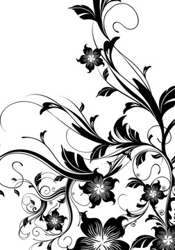 花的