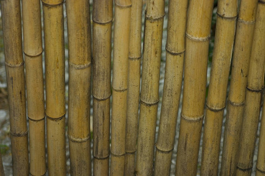 竹桶棕黃色母線背景特寫(xiě)