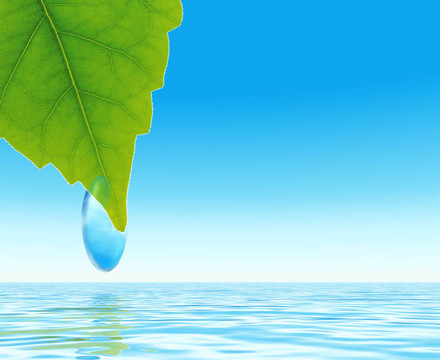 明亮的綠葉與背景水藍色的露水