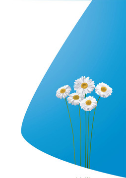 一束花