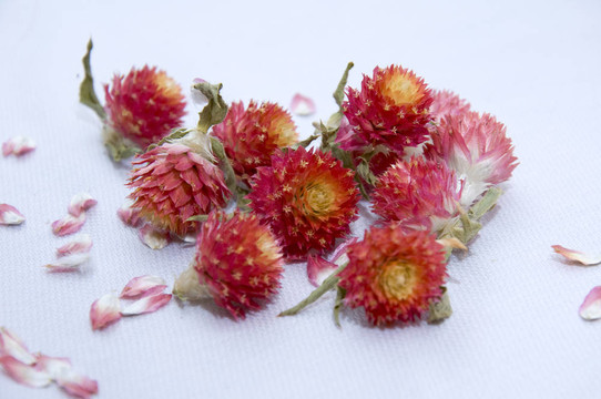 干燥花