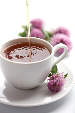 茶倒入白杯孤立