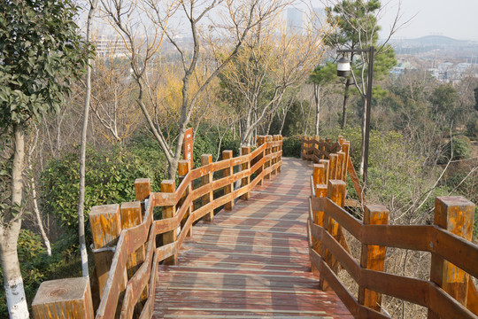 觀光棧道