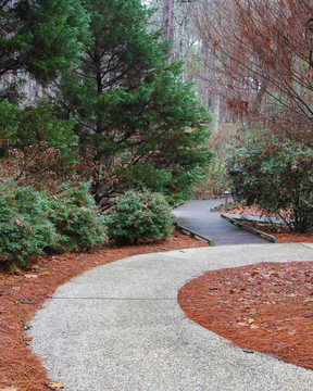 公園路