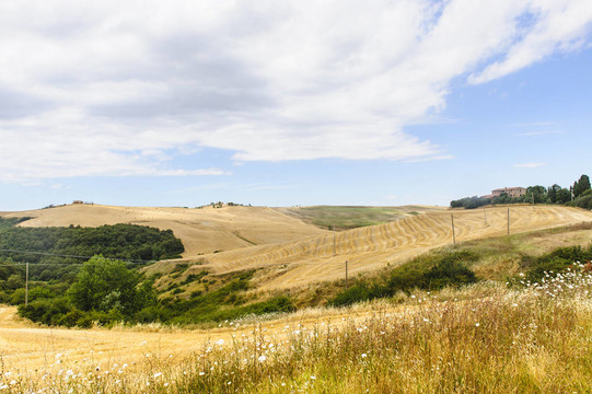 Val d Orcia（托斯卡納）景觀