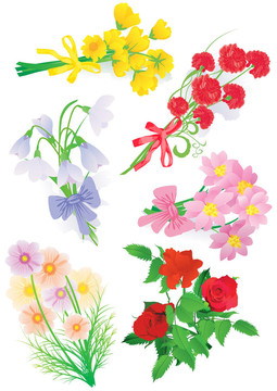 玫瑰郁金香花束集；雪花；在白色的宇宙和其他隔離